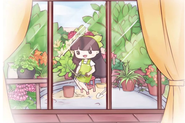 换盆的最x期到?jin),晚?jin)全年不开花! 换盆的最x期到?jin),晚?jin)全年不开花!