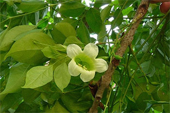 l宝?wi)的LҎ(gu)和注意事? alt=