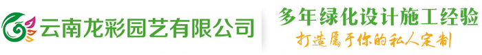 云南龍彩園藝有限公司